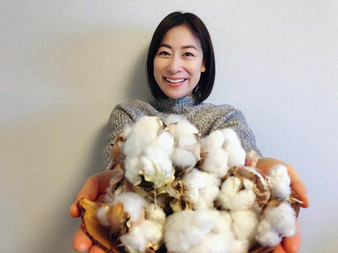 末吉里花さんのインスタグラム写真 - (末吉里花Instagram)「服のたね2020プロジェクトを通じて、自宅で育て収穫したオーガニックコットン。去年の参加では、2つしか実がはじけなかったのに、今年は豊作！収穫したコットンは服のたねの事務局に送ると、参加者みんなから集めたコットンを使って（足りない分は別のオーガニックコットンを足して）製品が作られます！素材を作るところから携われるこのプロジェクトは本当に素敵。今後製品にするときのプロセスも見ることができるようです。（どんな製品が作りたいかも参加者みんなで決めます）太陽と土と水に感謝🙏　harvested organic cotton!!! #organiccotton #gardening #ethical #youarewhatyouwear #服のたね2020 #オーガニックコットン #自宅栽培 #ガーデニング #エシカル」12月7日 19時34分 - rikasueyoshi