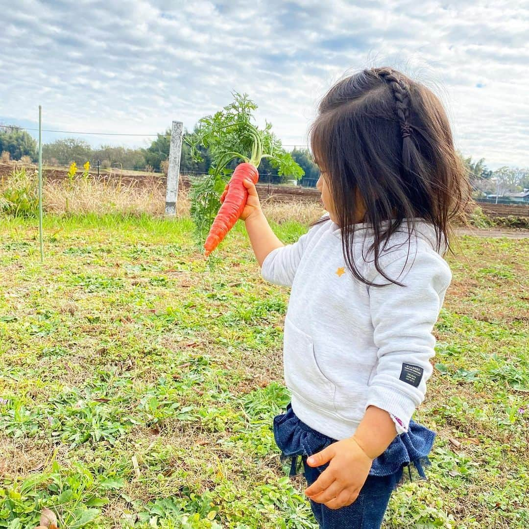 中川真依さんのインスタグラム写真 - (中川真依Instagram)「. 週末は @ikueteshigawara さんにお誘い頂き「京くれない人参🥕」を掘りに、印西市へ行ってきました🚗✨ . にんじん掘りは私も娘も初体験🤩‼️ 京くれない人参は、β-カロテンはもちろん、リコピンも豊富で栄養価の高い人参だそうです🥕💕 . 人参掘りのあとは親子運動、自然遊びをして、印西産の野菜を使ったランチも頂き、娘は何度も「楽しいね〜😆」と言って大満足の様子でした☺️❤️ . ワークショップでは私も可愛いトトロの置物を作りましたよ〜🤗✨ 充実した週末でした💛 #京くれない人参  #にんじん掘り #印西市 #親子イベント  #自然遊び #楽しい週末 #親子時間 #このあとはプールへ #お昼寝もせず #元気すぎる娘」12月7日 20時25分 - maimai.47