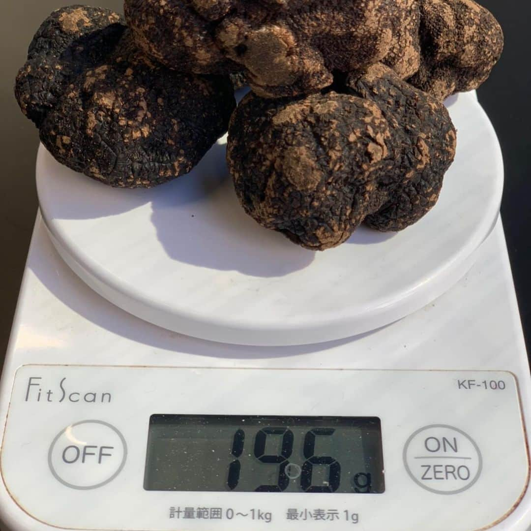 カルフィン・ヨン・ア・ピンさんのインスタグラム写真 - (カルフィン・ヨン・ア・ピンInstagram)「Randomly having 200 grams of truffle in the fridge 😅 #foodie」12月7日 20時26分 - calvinjongapin