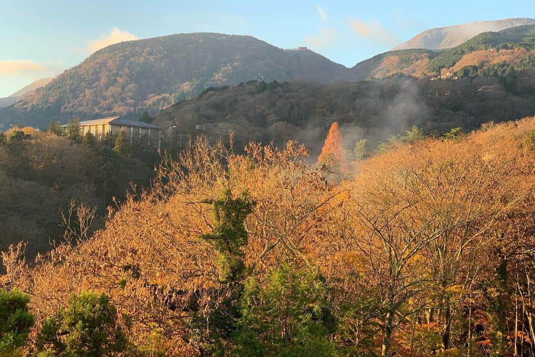 大日方久美子さんのインスタグラム写真 - (大日方久美子Instagram)「・ まだ紅葉が残る箱根の山をドライブしながら旅友の @blenda0305 と今年10月2日にオープンしたばかりの @gora_karaku へ行ってきました。  豊かな自然を感じることができる @gora_karaku はなんと全室客室露天風呂付きのラグジュアリーホテル。  宿泊した東棟デラックスルーム(和タイプ)は、和の趣をふんだんに感じられるインテリアとシャワールームからバルコニーの露天風呂に行ける導線で、窓から見える景色を楽しみながら、ゆっくり、ゆったり過ごすことができました。  客室にもスキンケア全てとスチーマーが常設されているのは、あまり見ないサービスです。  身一つで来ても大丈夫なのは女性には嬉しいですよね。  更に伝えたいのは、 ラウンジで19時までドリンクと軽食のフリーフローが楽しめること。  ソフトドリンクはもちろん、生ビール、シャンパン、ワインと至れり尽くせりのサービス。  着いたら直ぐにお部屋の露天風呂で運転の疲れを癒し、食事までの時間をゆっくりラウンジで過ごす。  贅沢な時間を過ごすことは大人にこそ必要なことだと気がしました。  そんな贅沢な時間はここ @gora_karaku で叶うと思う。  個人的に素敵だなぁ。と感じたのは丁寧な言葉で、スマートに対応してくださる外国人のスタッフが多数いらっしゃったこと。  グローバルな人材を採用されていて、素晴らしい。  彼らが使いこなす丁寧語・尊敬語・謙譲語を聞き、私もきちんと言葉を使いこなさいといけない。と勉強になりました。 ・ ・ #強羅佳ら久 #gorakaraku #ORIXで過ごす時間 #佳ら久 #PR#kumitravelstyle」12月7日 20時29分 - kumi511976