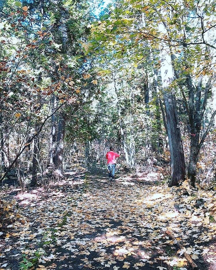 のインスタグラム：「紅葉の寿命はあとわずか #紅葉#紅葉スポット#命は儚い」