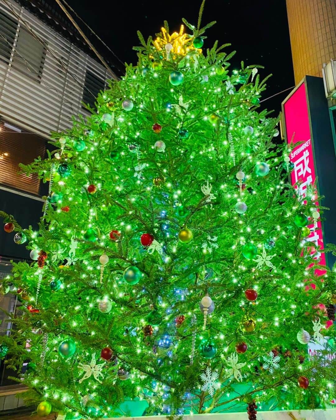 のインスタグラム：「【8】SEIJO ISHII, Jiyugaoka🎄 📷 @nikiricom 🦊 キラッキラ✨の🎄は、なんと成城石井なんだって😆 透き通ってて綺麗〜✨ #christmastreehunting2020 #ツリー狩り #hobby #風物詩 #借り物写真」