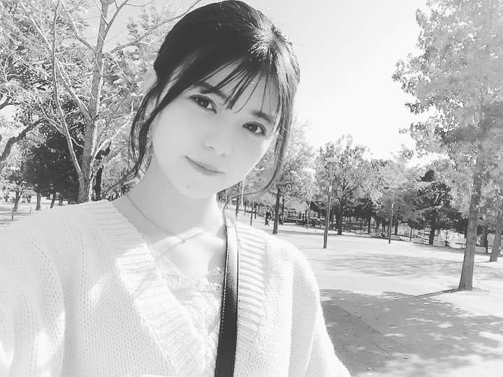 Dorothy Little Happyのインスタグラム：「🍀 * うちの中ではまだ月曜日、、、ｺﾞﾒﾝﾅｻｲ( .. ) この前Twitterに載せた画像 実は動画になってたのを静止画のように切り取りました（・×・）  ここのイチョウすごくきれいだったな𓂃𓂂🍃」
