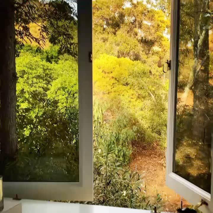 レイチェル・ゾーのインスタグラム：「Mommy #mondaymotivation to just expect the unexpected..todays adventure was setting a lost sweet birdie free 🦅 ..How I love living in nature  #muchneeded 🙏🏻❤️ XoRZ」