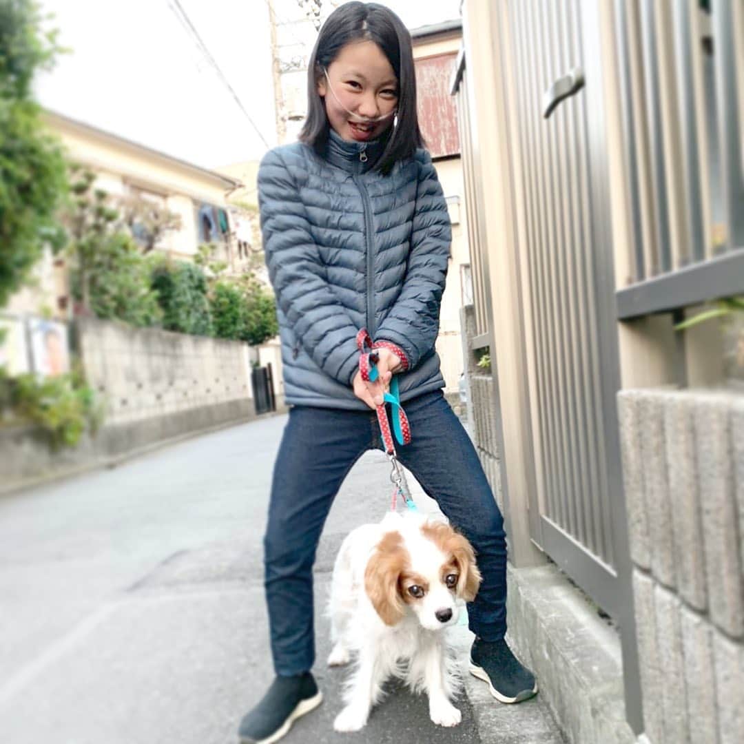 yukiさんのインスタグラム写真 - (yukiInstagram)「おはようございます。﻿ ﻿ 「もぅ写真とかいいんで、﻿ そんで、あーもぅ首、引っ張りすぎやて」﻿ by ハナちゃん🐶﻿ ﻿ #ハナちゃんお世話隊﻿ #行きたいところに行かせて﻿ #きょうのわんこ﻿ #犬好き﻿ #milkaとhana」12月8日 7時38分 - milkayuki