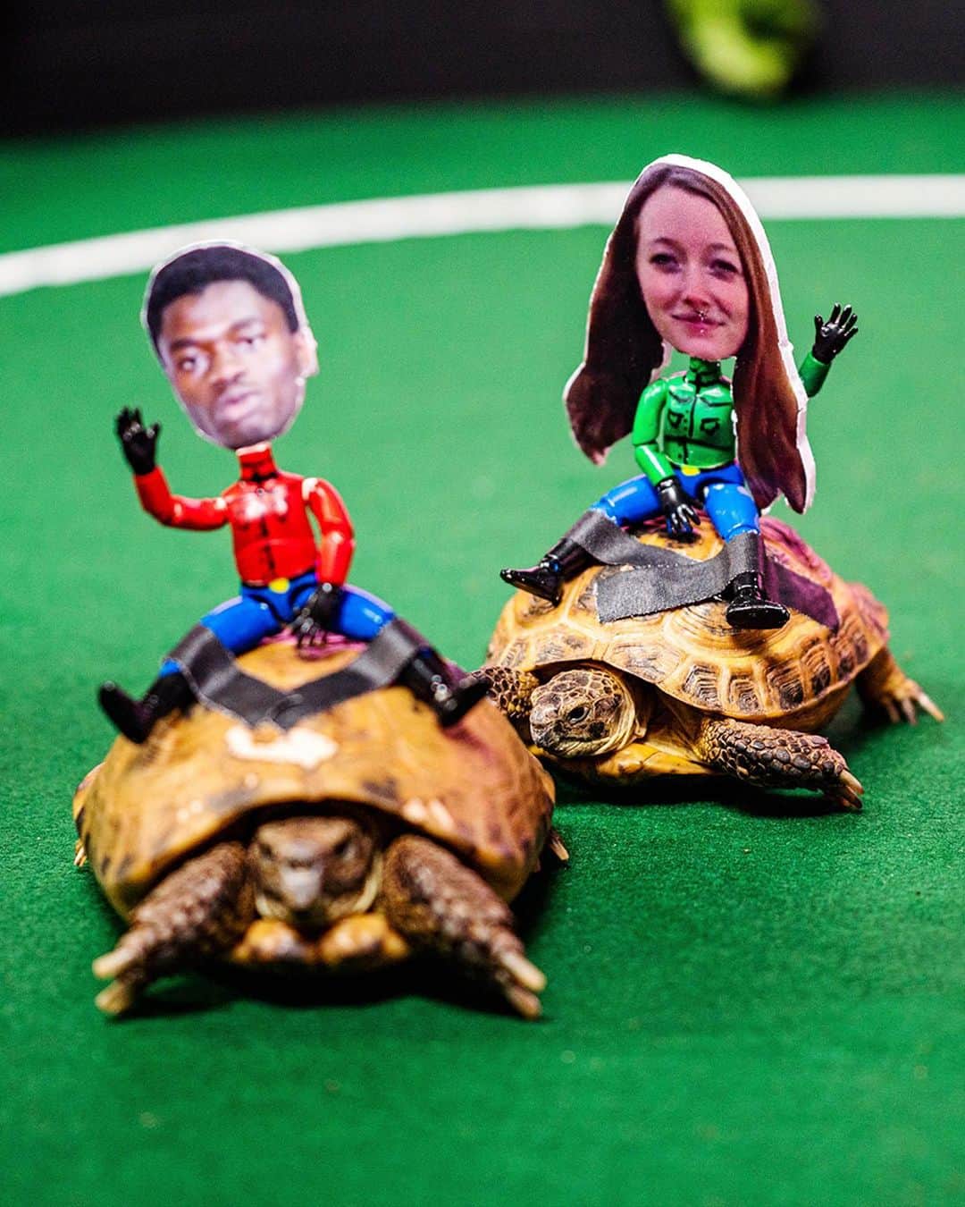 Dude Perfectのインスタグラム：「$100,000 TURTLE RACE! 🏁🐢 Overtime 20 is LIVE at the link in our bio and it’s ABSOLUTELY ELECTRIC.  Huge thanks to our friends @drpepper for sponsoring this video!」