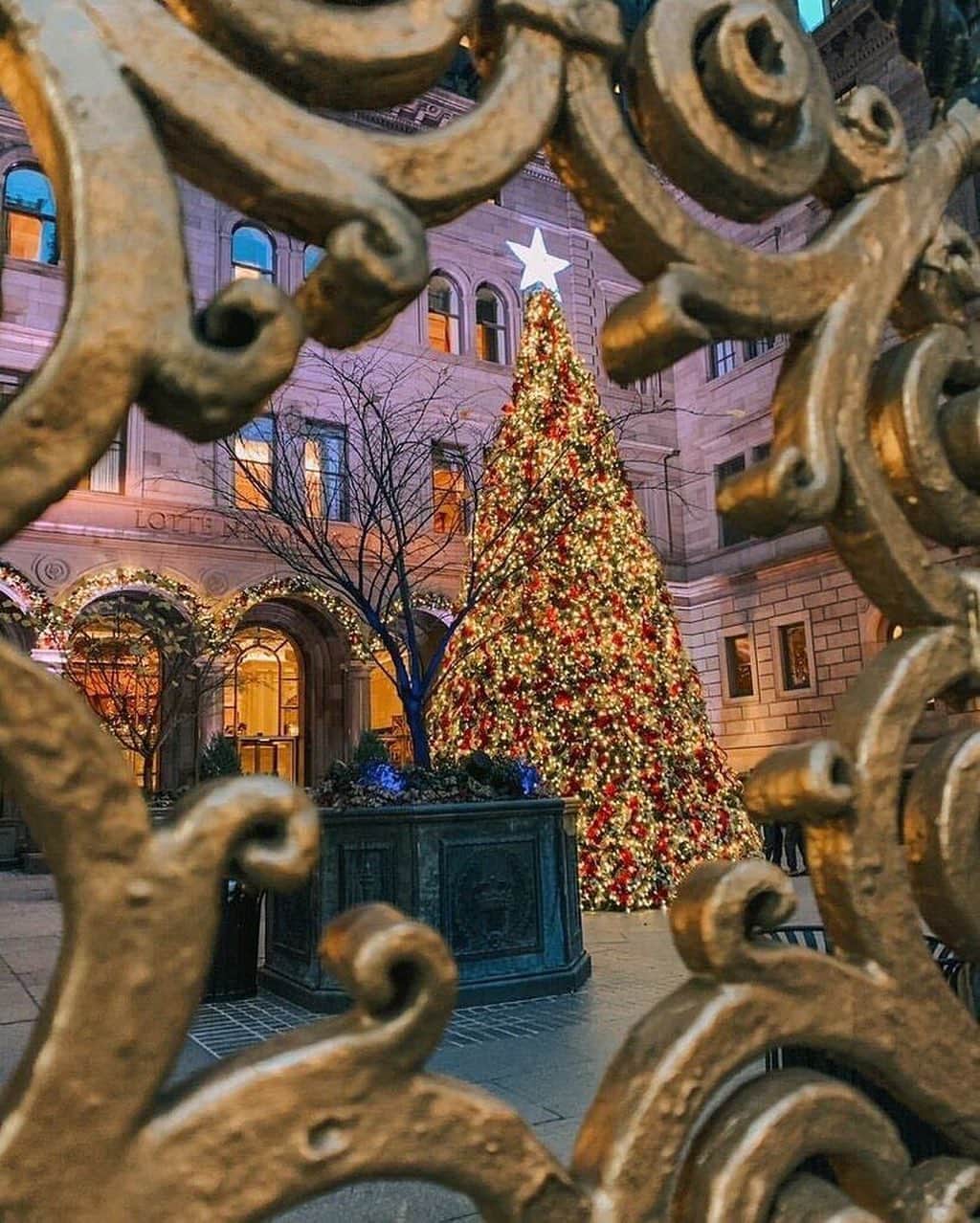GILTのインスタグラム：「There’s no place like NYC during the holidays. Photo by: @blossomandbabe_nyc.」