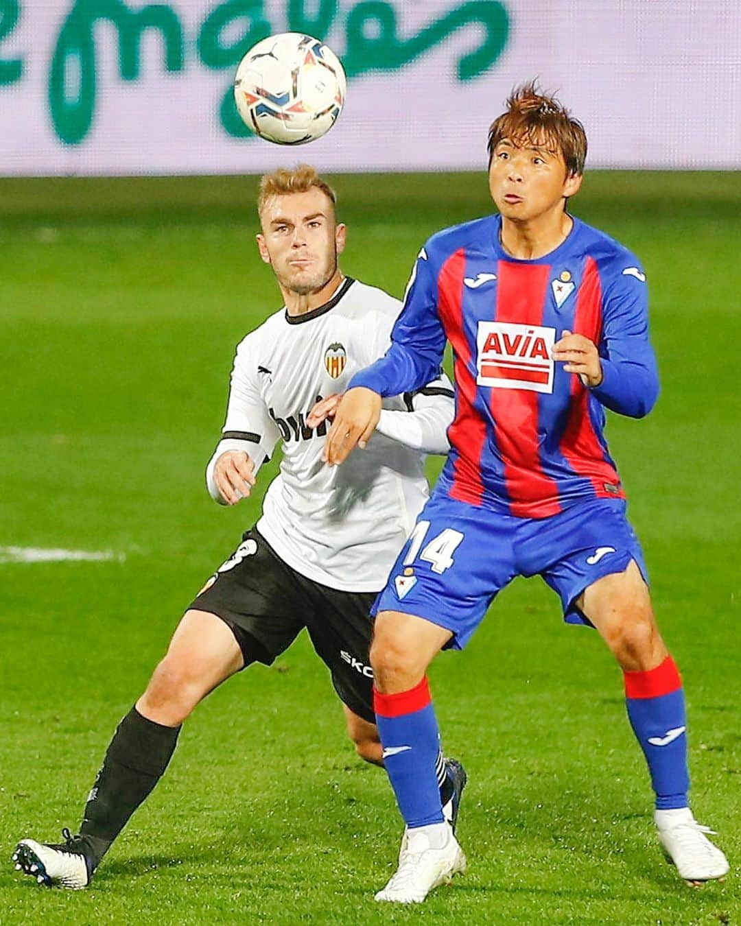 バレンシアCFさんのインスタグラム写真 - (バレンシアCFInstagram)「📸 Got to keep up the work! 🦇  👊🏻 ¡Seguiremos mejorando, creciendo y trabajando fuerte! 👊🏻  #EibarValencia 🔴🔵🦇 #AMUNTValencia #laliga #matchday #MatchDayVCF」12月8日 8時13分 - valenciacf