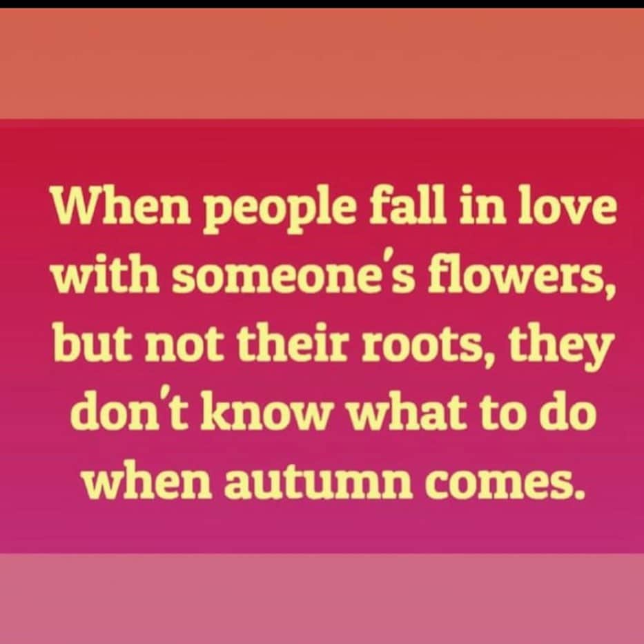 エリカ・キャンベルさんのインスタグラム写真 - (エリカ・キャンベルInstagram)「Reposted Whew Lord this is good! If you need this today just read it over and over again!  #roots #Fall #seasonschange  #2020 #seeingclearly」12月7日 23時51分 - imericacampbell