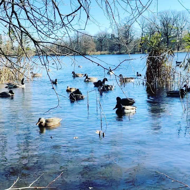 のインスタグラム：「Quackery」