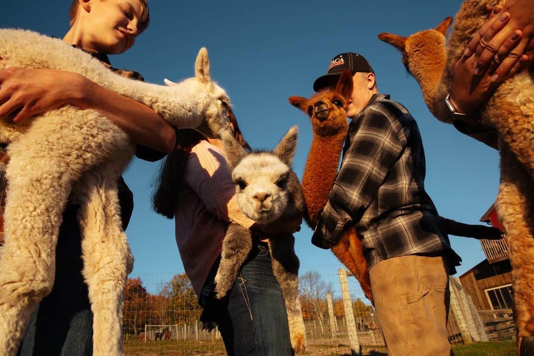 National Geographic Travelさんのインスタグラム写真 - (National Geographic TravelInstagram)「Photos by @MichaelGeorge / In the past few years Buck Brook Alpacas has become a destination for all things adorable near Roscoe, New York. If you find yourself in the area, make sure to drop by and meet these gentle, furry beauties. The farm has so much going on, with an ever growing list of activities for visitors. You can take a farm tour, visit their shop, and even rent a room above the barn if you’d like to maximize your time with the alpacas. The property also has some wandering cats, a little pig named Daisy, and other furry friends to discover as you walk around.  In these images you’ll see teens who work on the farm and are part of their 4-H program. These youngsters learn to raise the alpacas, train them for shows, and keep up with daily farm duties. One of the best parts of my visit was seeing the list of names on the wall: Fabulous, Enchanter, Glory, Beholder. Most of the animals live up to their names.  For more photos and writing from my travels, follow along @MichaelGeorge. #buckbrookalpacas #alpaca #sullivancounty #catskills #iloveny」12月8日 0時46分 - natgeotravel