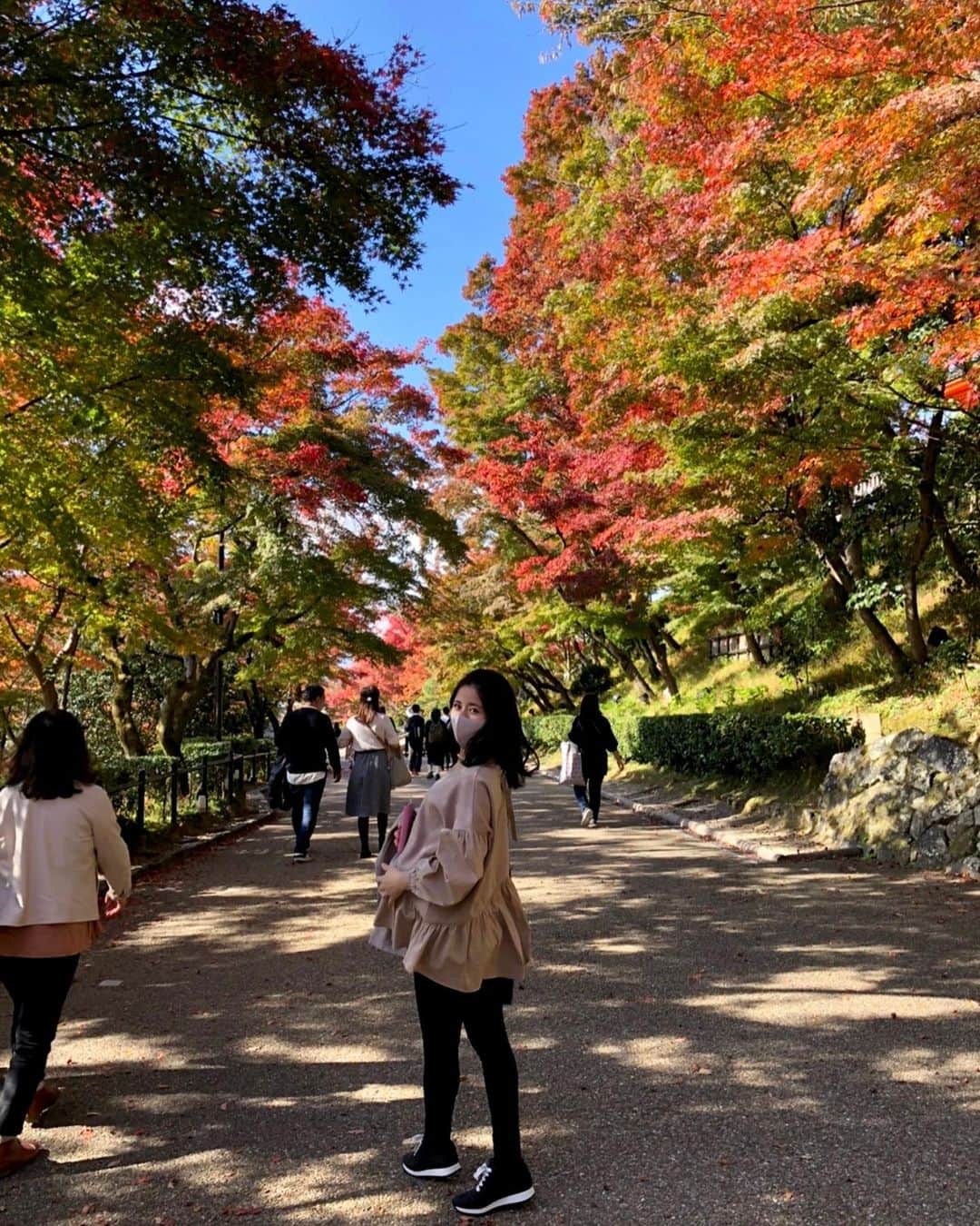 吉村優さんのインスタグラム写真 - (吉村優Instagram)「* 色鮮やかな紅葉と青空と 美味しいものに癒された 先月の京都紅葉狩りでしたっ🥰 * おやすみなさい〜🌟 * #京都 #清水寺 #紅葉」12月8日 1時08分 - yuyoshimura87