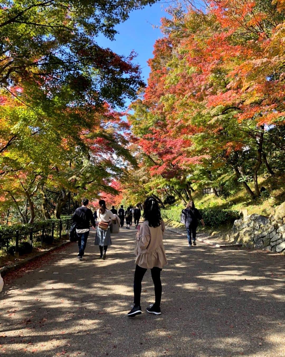 吉村優さんのインスタグラム写真 - (吉村優Instagram)「* 色鮮やかな紅葉と青空と 美味しいものに癒された 先月の京都紅葉狩りでしたっ🥰 * おやすみなさい〜🌟 * #京都 #清水寺 #紅葉」12月8日 1時08分 - yuyoshimura87
