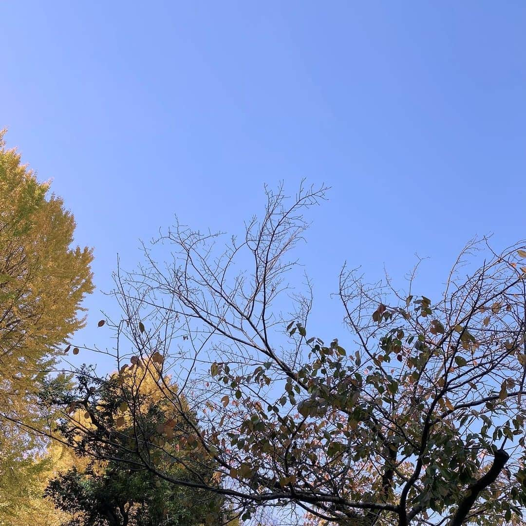 MAYUKIのインスタグラム：「今日天気よかったね🥰✌🏻」