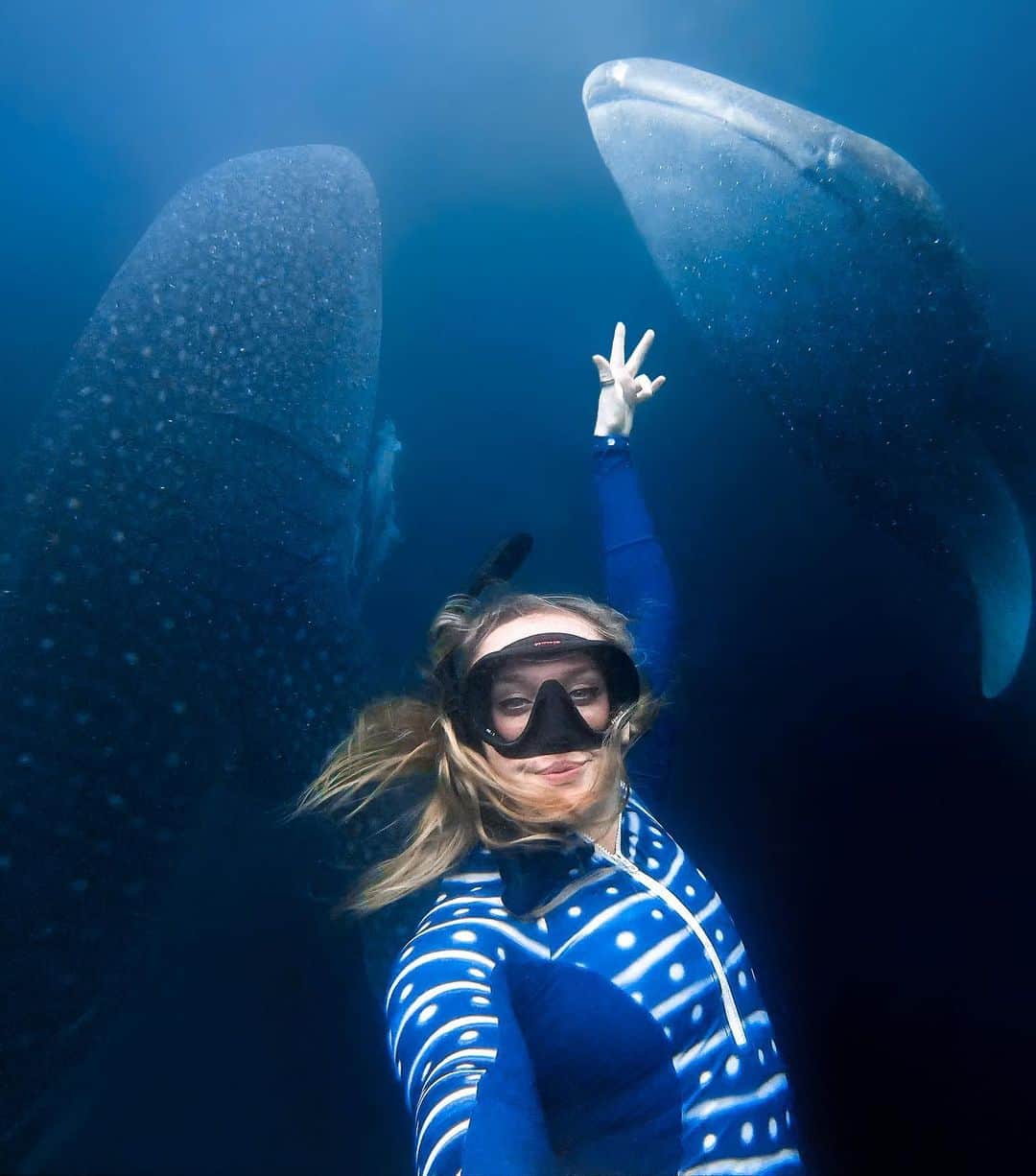 goproさんのインスタグラム写真 - (goproInstagram)「Photo of the Day: Third wheeling 🐋🐋 #UnderwaterSelfieDay award recipient @mads_ocean ⠀⠀⠀⠀⠀⠀⠀⠀⠀ @GoProID #GoProID #GoPro #Underwater #Whales @paditv #PADI」12月8日 1時32分 - gopro
