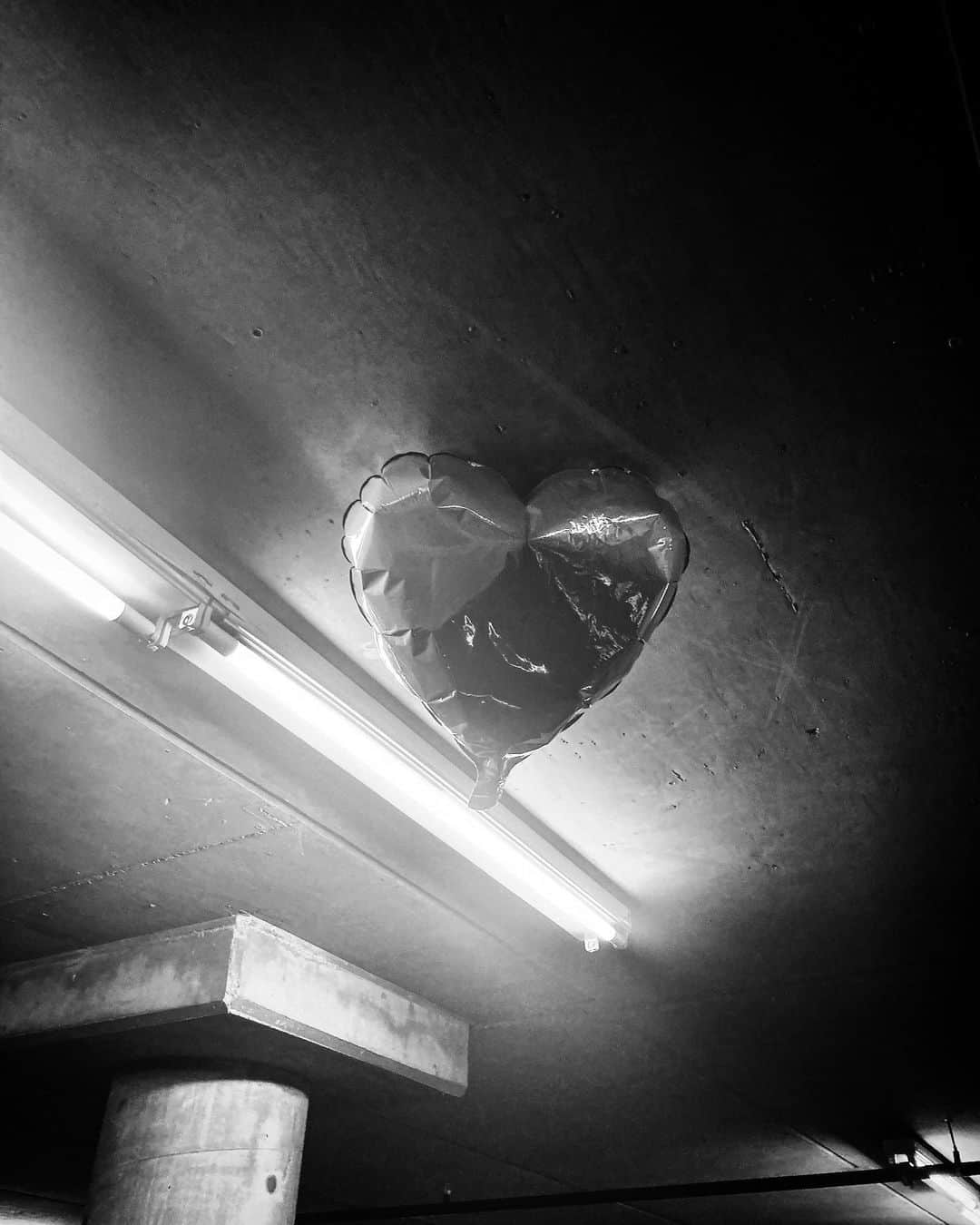 レオン・エルスのインスタグラム：「Lonely hearts club🖤」