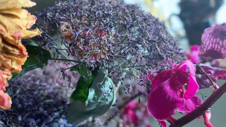 風間ゆみえのインスタグラム：「ある朝は散りゆく花と戯れるように 美しい時間をありがとう  @kayokohirao」
