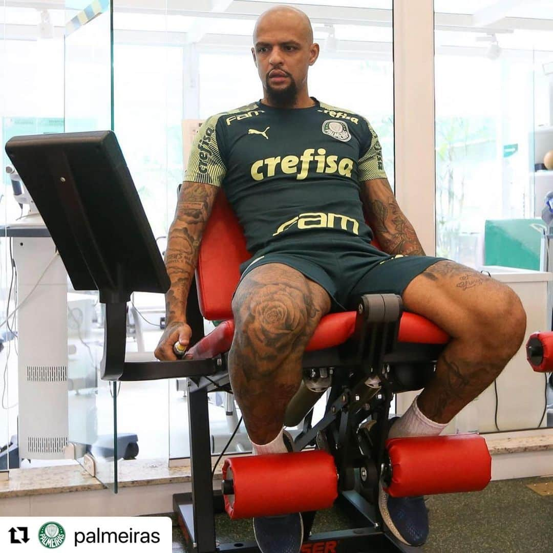 フェリペ・メロさんのインスタグラム写真 - (フェリペ・メロInstagram)「#Repost @palmeiras with @make_repost ・・・ VAMOS, CAPITÃO! 💪🐷 @felipemelo segue em recuperação acelerada na Academia. Em breve estaremos juntos em campo!  📷 Cesar Greco  #AvantiPalestra #Palmeiras #Verdão」12月8日 2時03分 - felipemelo