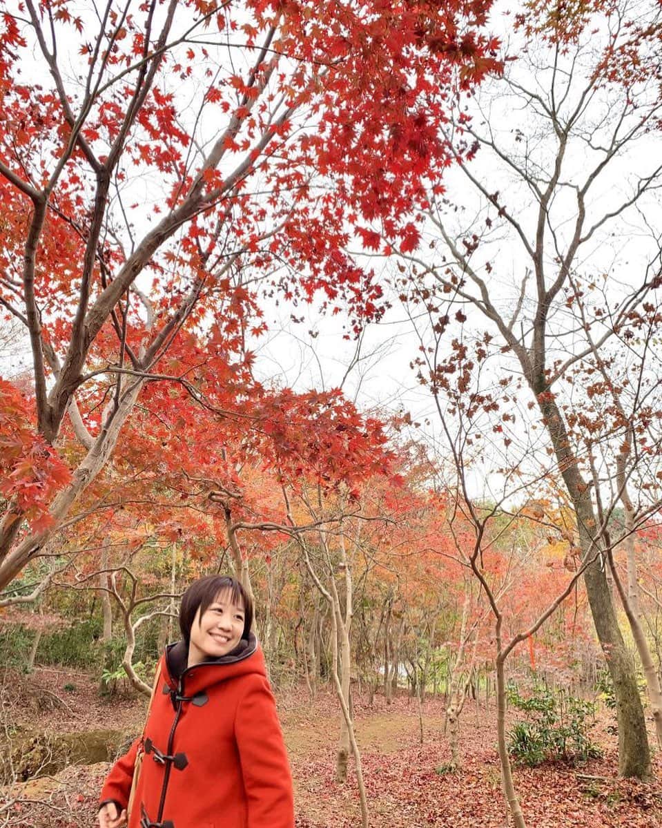女子アナ47のインスタグラム：「元NHK鹿児島放送局キャスターで 埼玉県在住の村上留奈です。   埼玉県川口市安行に、 世界中のもみじが見られるスポット「小林もみじ園」があります。 ３０００坪以上の敷地を散策して楽しめるこの場所にある紅葉、 実は全部売り物なのです！   詳しくはプロフィール欄のURLから ‘４７発信プロジェクト’をご覧ください！   #地方創成 #埼玉 #埼玉県 #川口市 #観光地 #観光スポット #観光名所 #休日 #散歩 #自然 #マイナスイオン #空気 #リフレッシュ #深呼吸  #秋 #安行 #安行の植木 #植木 #紅葉 #紅葉狩り #もみじ #植木屋 #お出かけスポット #もみじ園 #地方創生 #アナウンサー」
