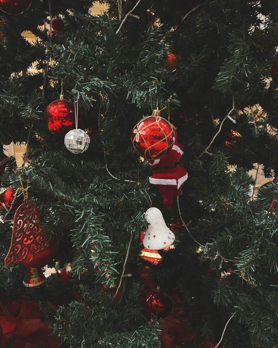 まんまるとまとさんのインスタグラム写真 - (まんまるとまとInstagram)「tree🎄 ・ 子供の時ずっと 大きなツリー欲しかった🎄 でも 一人暮らし始めたら 飾るのでさえ大変だなって 思って飾ってない🥲💕 ・ ・  ・ #クリスマスプレゼント #クリスマス #クリスマスツリー #ツリー #オーナメント  #ツリーハウス #クリスマスローズ  #飾りつけ #noacafe #銀座ランチ  #christmas #ornament #tree  #christmastree #santa #cosplay  #japan #ginza #cafe  #銀座カフェ #visitjapanjp」12月8日 3時53分 - manmaru_tomato