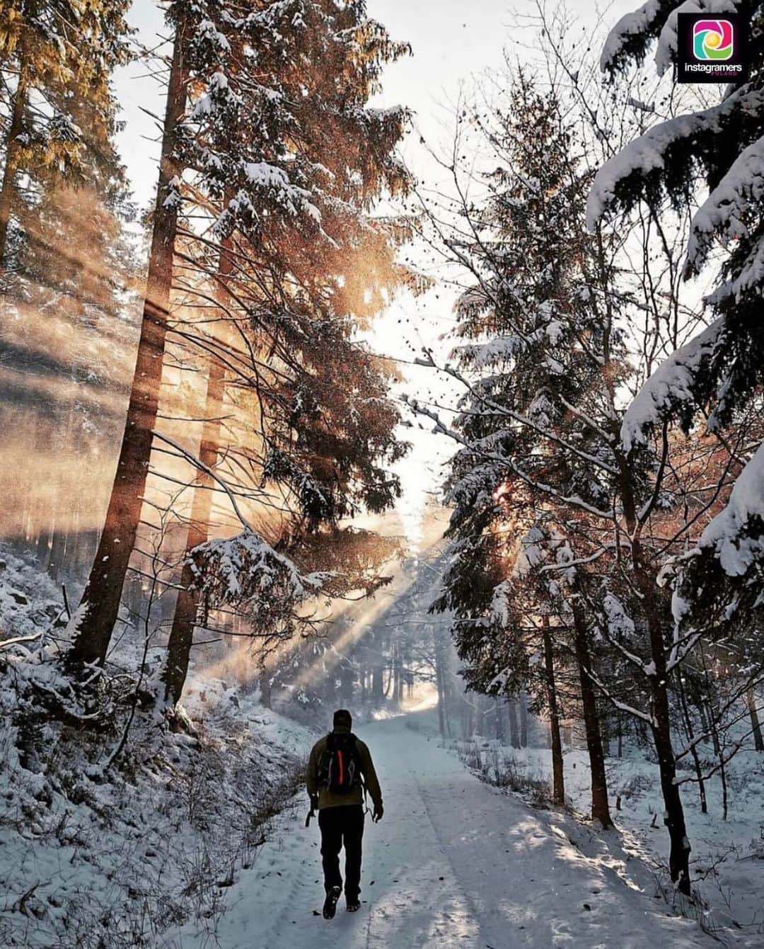 のインスタグラム：「Sunlight and snow by @czosnek78 and @igerspoland ❄️🌞✨📸✨ #igerspoland #igers」