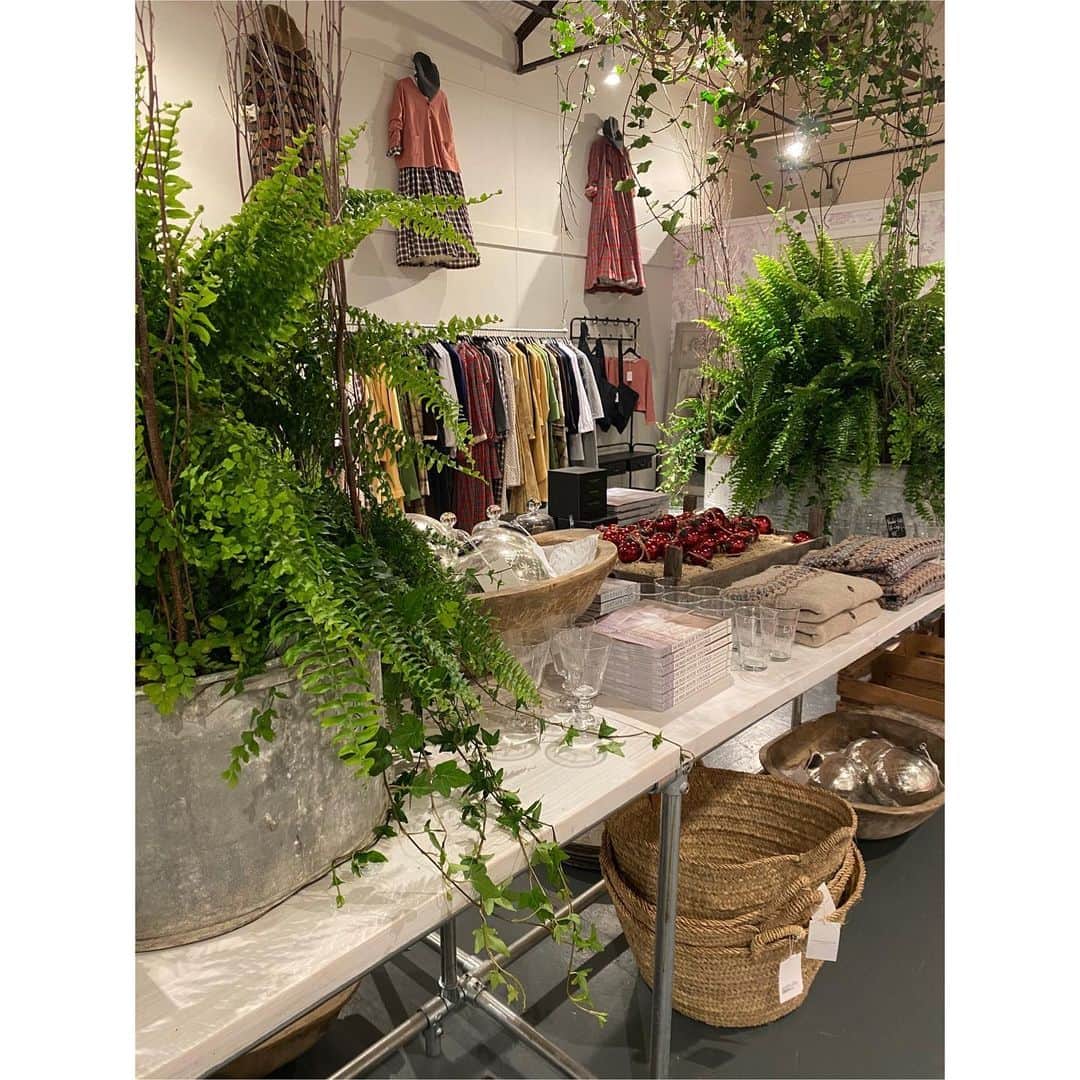 キャベジズ&ローゼズのインスタグラム：「Our beautiful shop is open again from tomorrow at 10 am until 5 along with a fine selection of independent businesses just a stone’s throw away. Hope to see you in Bruton soon! @brutonhighstreet @cabbagesandroses_shop @christina_strutt #cabbagesandroses #cabbagesandrosesinteriors #cabbagesandrosesfabric #cabbagesandrosesfashion #shopindependent #shoplocal #somerset #bruton #brutonsomerset」