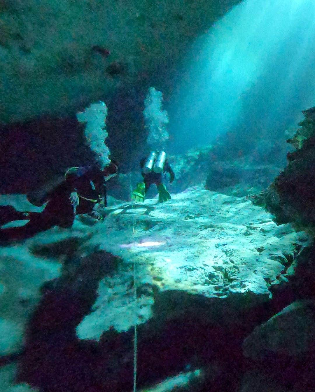 サッシャ・ロイズさんのインスタグラム写真 - (サッシャ・ロイズInstagram)「Hasta luego Mexico 🇲🇽 #tulum  #chichenitza #cozumel #cenotes #scubadiving」12月8日 4時55分 - mrsasharoiz