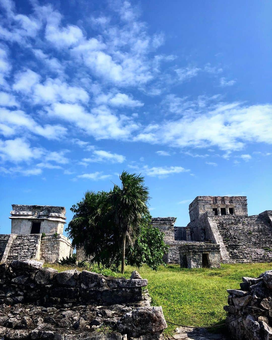 サッシャ・ロイズさんのインスタグラム写真 - (サッシャ・ロイズInstagram)「Hasta luego Mexico 🇲🇽 #tulum  #chichenitza #cozumel #cenotes #scubadiving」12月8日 4時55分 - mrsasharoiz