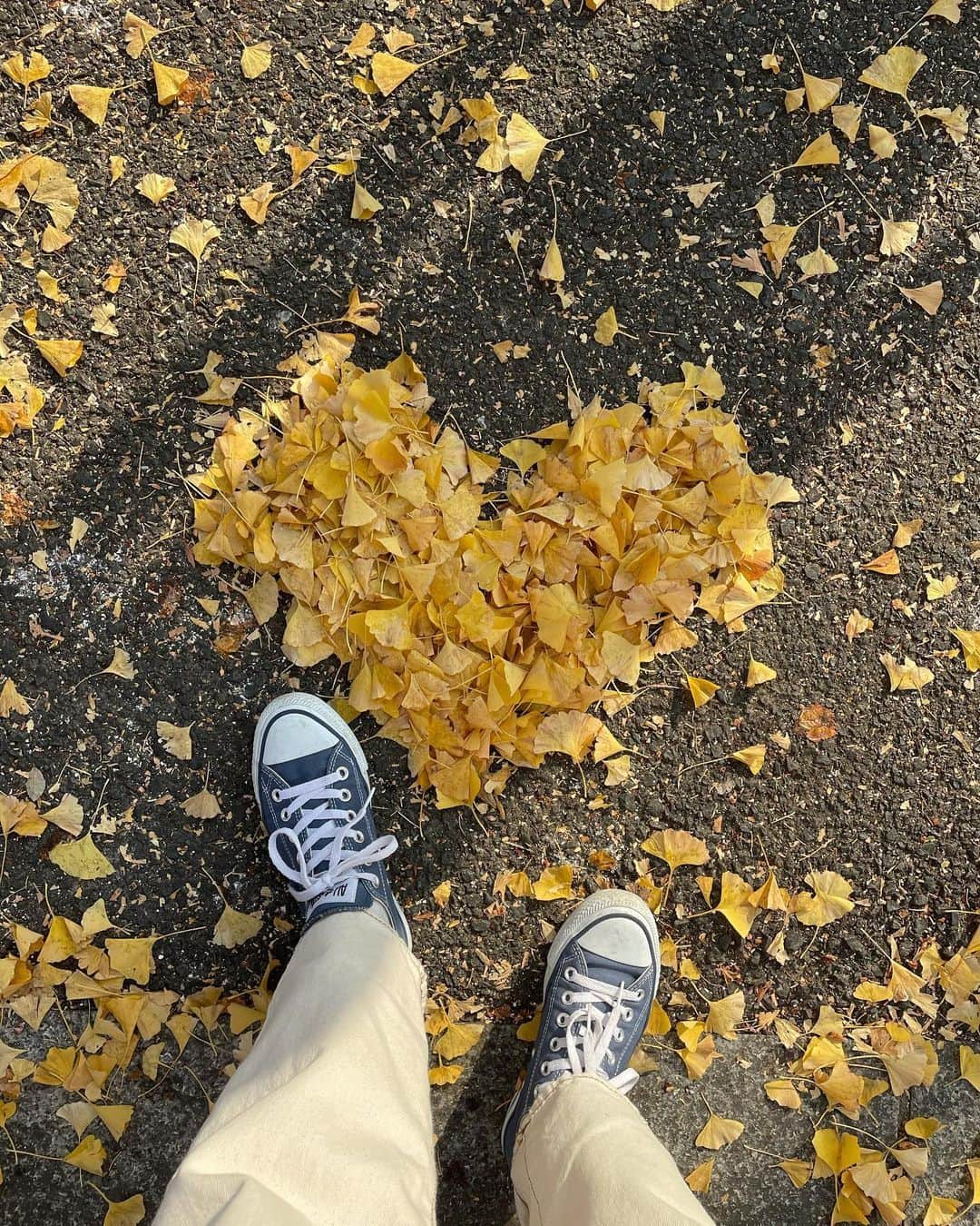 RiLiさんのインスタグラム写真 - (RiLiInstagram)「歩いて秋を満喫しちゃお💨【イチョウ並木】🍁💗⁣ ......⁣ 東京・神宮外苑や昭和記念公園などの【イチョウ並木】🍁秋をとっても感じられるスポットだよ❕❕⁣ 散っちゃったあとのイチョウの絨毯がとってもかわいいの♡ハートを作ったりブーケを作ったりしてたくさん写真を撮っちゃおう📷🎞⁣ もうすぐ散り切っちゃうから行きたい子は早めがオススメ❣️気になった子はぜひチェックしてね👀🌱⁣ ❣❣❣❣❣⁣ サイトやSNSで掲載させていただくお写真募集中😘📸⁣ かわいいコーデやアイテム、注目スポットなどが撮れたら、ハッシュタグ→#rili_tokyo  を付けて投稿❗⁣ ．⁣ Special Thanks💋 Photo by⁣ @minaho_119⁣ @sako0919⁣ @425jmn⁣ @erinko0315⁣ @aiki_hazama_m⁣ @__beau.vague__⁣ @iwkp_a⁣ @chi_x_x_x⁣ @mro_y801⁣ @_y_0318⁣ ．⁣ #イチョウ並木#お出かけスポット#秋#神宮外苑#昭和記念公園⁣  #rili_tokyo #おしゃれさんと繋がりたい #お洒落さんと繋がりたい #ファッション #패션스타그램 #ootd #outfit」12月8日 18時01分 - rili.tokyo