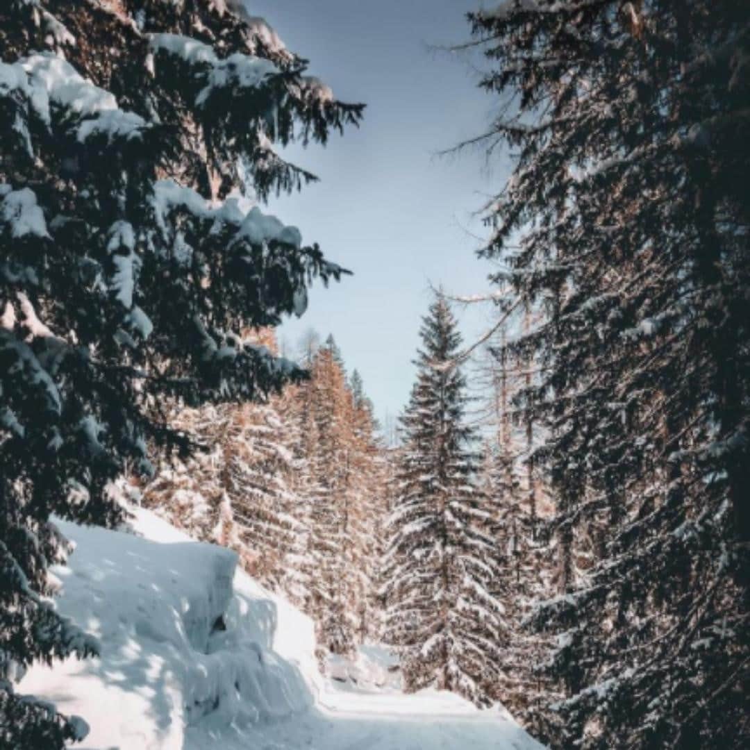 Melvita Officialのインスタグラム：「🌍 Journée du climat 🌎  Préservons ensemble notre planète en agissant avec des petits gestes du quotidien !  Partagez-nous en commentaire quel est votre petit geste à vous pour défendre l’environnement 💙  Merci à @msvisualss pour cette magnifique photo !  #melvita #cosmetique #bio #organic #engage #journéemondialeduclimat #nature #protection #preservation #environnement #gesteduquotidien #recycle」