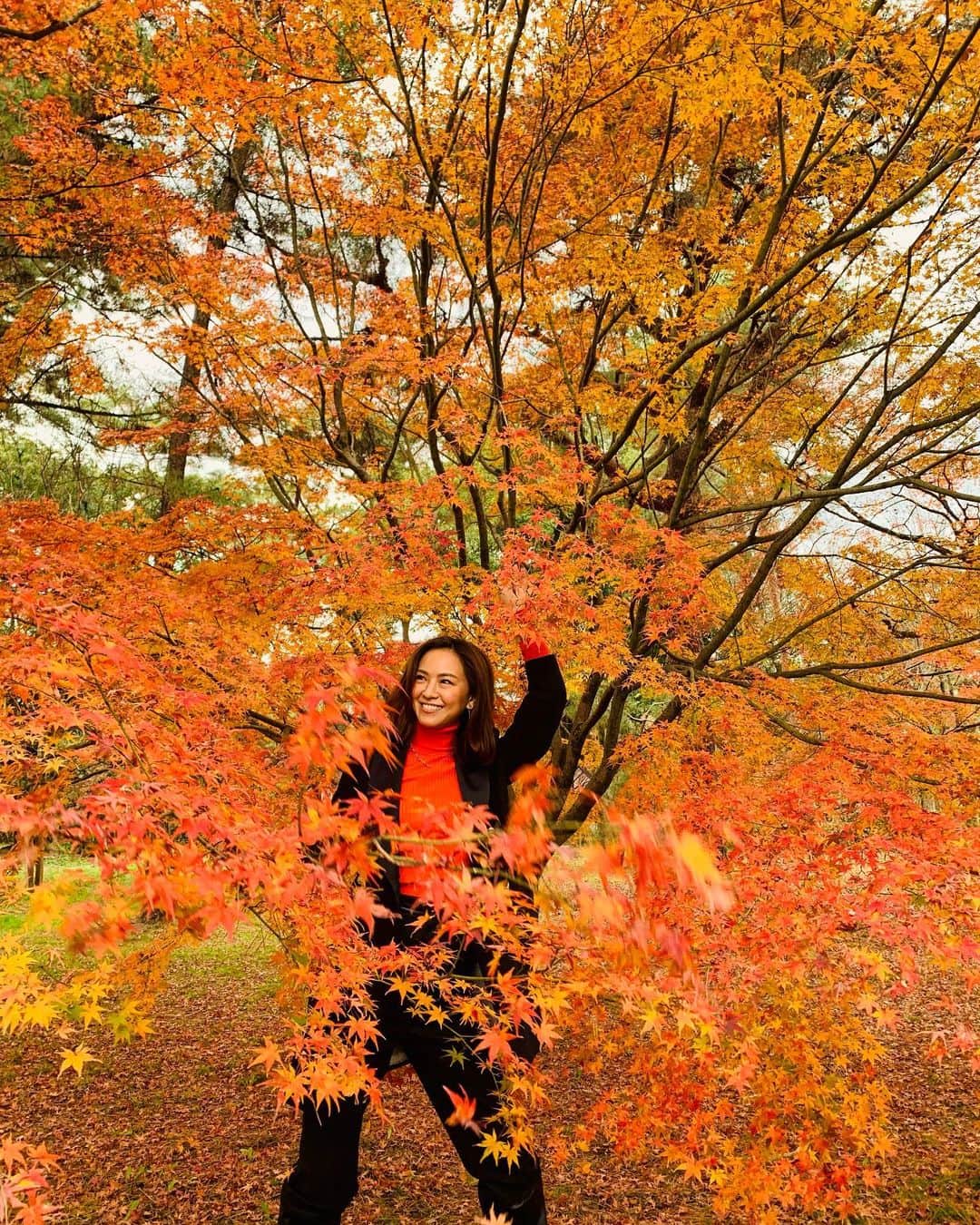 西内ひろさんのインスタグラム写真 - (西内ひろInstagram)「in Kyoto.  最後の紅葉かな🍁  #kyoto #japan #fall #紅葉 #京都 #もみじ #京都紅葉」12月8日 16時56分 - 0214hiro