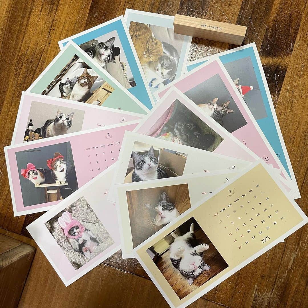 のインスタグラム：「これはパンちゃんのカレンダー❤️  自分の愛猫でカレンダー作りませんか？ ひとつ作ると500円保護猫ちゃんのために寄付されます クーポンあります↓  ★うちの子カレンダーを作って保護猫活動★   愛猫ちゃんのグッズを作成できる「ねこかぞく」で、オリジナルカレンダーを作りませんか？  今回のチャリティーカレンダーは、1セットにつき500円をどうぶつ基金様に寄付し、猫の殺処分ゼロを目指す「さくらねこ無料不妊手術事業」を応援しています！   大好きなうちの子オリジナルカレンダーが、猫助けになります🐱💕   カレンダーの背景とお写真は一枚ごとに選択できるので、世界でたった一つのカレンダーが作れます。専用の木製スタンドは、飾りやすいように職人がひとつずつ製作しています♡   【ねこかぞく特典】 ①新規会員登録で200ポイントプレゼント！   ②カレンダー30％OFFのクーポン クーポンコード「nyancon222」 決済画面のクーポンコード欄にご入力ください   【カレンダー販売期間】 2021年1月31日（日）まで   詳細・ご注文はこちらから ねこかぞく▶ https://neko-222.jp/shopdetail/000000000041/  ※ instagramアカウント @nekokazoku222 のプロフィールからも上記サイトに入れます♡  　 #ねこかぞく #チャリティーカレンダー #どうぶつ基金 #nekokazokku222 #猫グッズ」
