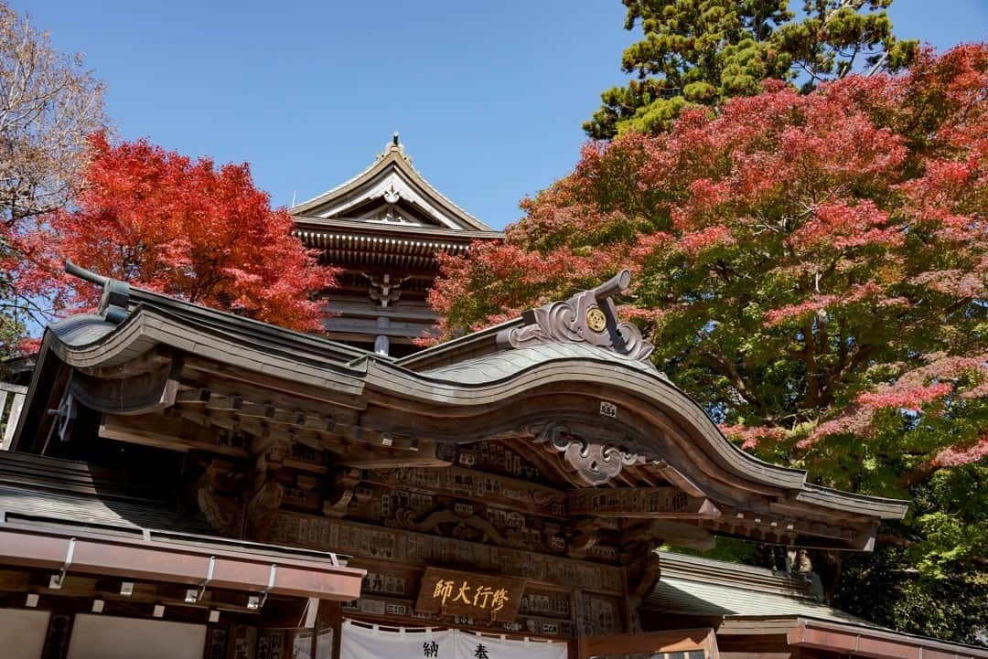 東京都庁広報課さんのインスタグラム写真 - (東京都庁広報課Instagram)「「高尾山 Mt.Takao(2020.11.13撮影)」最寄り駅：高尾山口駅  #紅葉 　#薬王院　#トレッキング　#京王線　#寺院　#多摩　#散歩 #tokyotokyo #tokyogram #moodygrams #jp_gallery #ptk_japan #gdayjapan #realtokyo #beautifuldestinations #tokyojapan #instatokyo #loves_nippon #phos_japan #bestjapanpics #cooljapan #japan_of_insta #photo_jpn #illgrammers　 #景色 #東京 #Tokyo #东京 #도쿄 #tokyogood」12月8日 17時15分 - tocho_koho_official