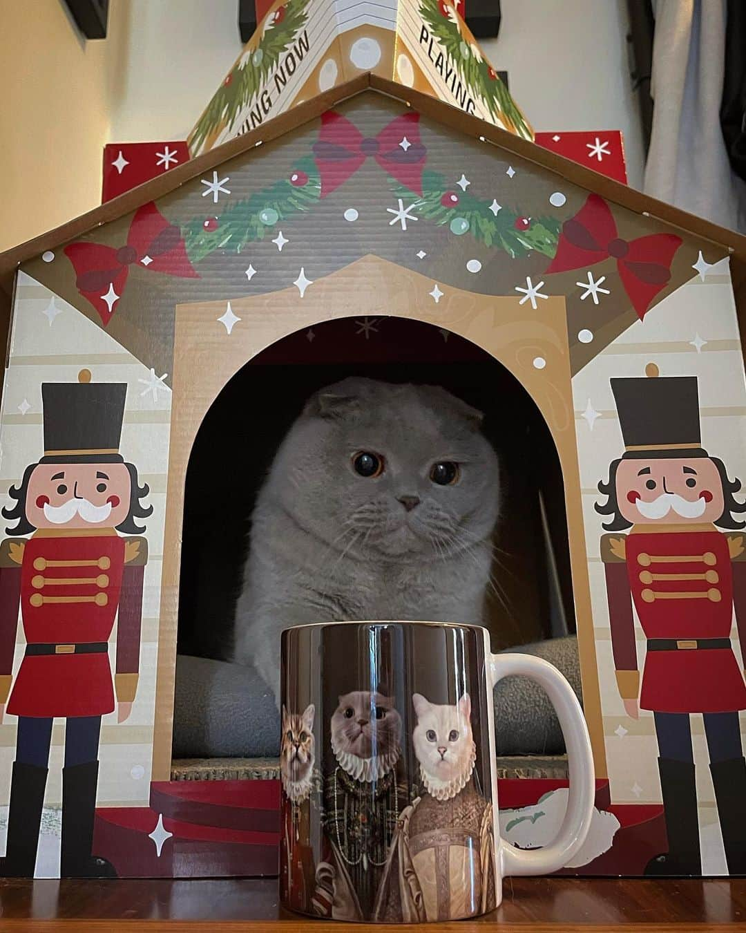 Millaのインスタグラム：「When that morning CATfeinated coffee hits! 🙀 And it tastes best in a one-of-a-kind @crownandpaw mug! ☕️ Get your pets mug on a MUG with code MILLA15 for a discount at checkout ! 😸 Makes for the PURRfect holiday gift! 🎁🎄🎁 #MillaTheCat #CrownAndPaw」