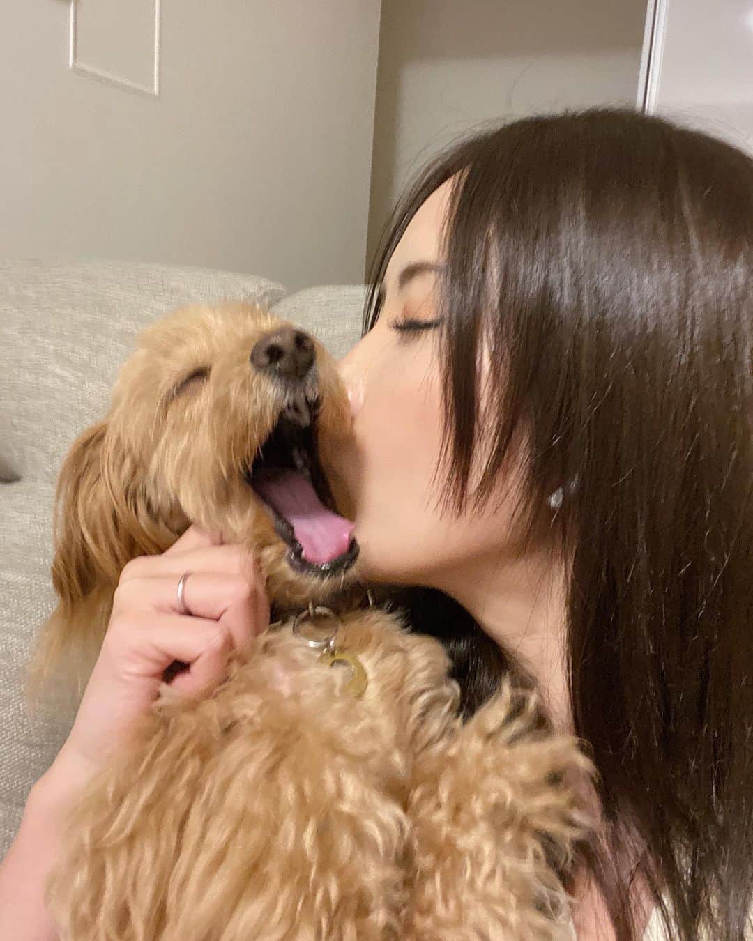 のインスタグラム：「ん〜っ❤️大好き‼︎  #分離不安 (私)」