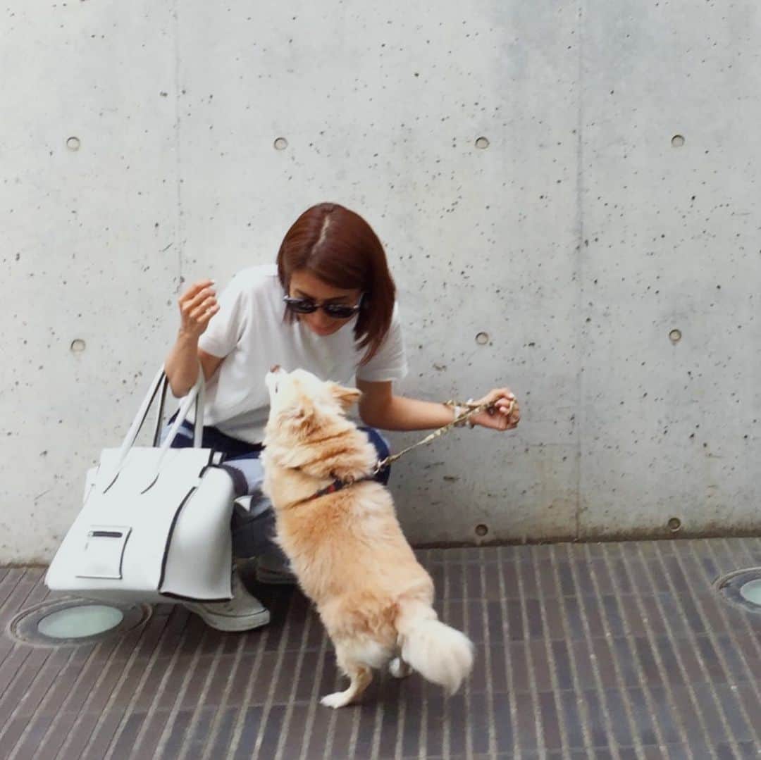 のインスタグラム：「. 12月1日、コナンが天国へと旅立ちました🐕🌈 . 今日でちょうど一週間になります。 その日の朝はいつも通り7時頃起きて、二度寝をして9時過ぎ頃そのまま亡くなっていました。 . 後から思うとコナンは亡くなる二日くらい前から、ちゃんと家族に挨拶をしてくれていました。 あれから毎日家族とコナンの話をしては、彼が残した偉大さを何度でも改めて感じます。 20歳6ヶ月、立派な犬生でした🐶👴✨ . ガッシュの時もそうでしたが、あまりに日常にコナンが当たり前にいて、もう家に彼がいないこと、料理をしていても歩いてこないこと、家で足音がしない事に未だにハッとさせられます。 本当に本当に寂しいけれど、日々の数えきれない思い出は永遠の宝物です。 . . コナン、運命の出会いだったね。 いつも家族に寄り添ってくれて、本当にありがとう。 ガッシュとまた沢山くっついててね♡ 出会えて本当によかった！ . . . コナンに優しいお言葉をくださった皆様、関わってくださった皆様、本当にありがとうございました🙇‍♀️❤️✨ コナンも私たち家族も幸せ者です。 . . . 最後の写真は、コナンが初めて来てくれた日のチェキ😂📸 動画は、二十歳のお誕生日に娘が作ってくれた記念🎥❤️ . . . . #コナン With all my love.❤︎」