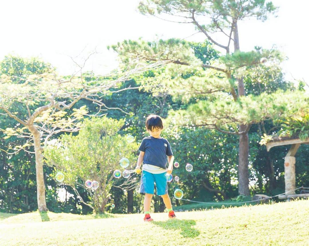 セソコマサユキのインスタグラム：「ふわふわ  #沖縄 #移住 #子育て」