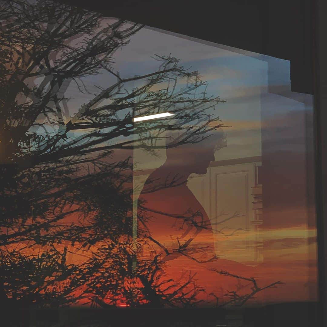 ウィロー・シールズさんのインスタグラム写真 - (ウィロー・シールズInstagram)「Sunsets with you are lovely」12月8日 9時48分 - willowshields