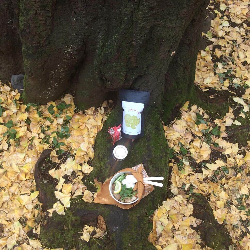 Pho 321 Noodle barのインスタグラム：「落ち葉🍂かさかさ、バードサンクチュアリからの声に　そっと耳を傾ける冬の朝です。  pho321のパワーフードこと、to goのcomは3種類、豚ひき肉とレモングラスのピリ辛そぼろ🌶、美桜鶏(ヴェトナム🇻🇳風チキンライス)、トンポーロー(ヴェトナム風🇻🇳豚の角煮)、店頭でpick upのお時間に合わせ、出来立てをご用意致します。 お惣菜は日替わり　本日は　カブのマリネ　薩摩芋の胡麻和え　胡瓜ディル　紅白なますです。*ジャスミンライスの大盛り出来ます ランチタイムのピーク時は　お渡しまで　どうしてもお待たせしてしまうため、事前のご予約がおすすめです👩‍🍳 ☎︎03-6432-9586  交差点向こう、good neighbors coffee kioskでは　ウイスキー　ブラックベリー　ダークチョコレートをイメージしたholidayブレンドがお目見え、中野の @silo_coffee さんでも期間限定でいただけます☕️ Tasyard内のfine foodsでは holiday season ver.のhave a cookie缶が登場、🌲のイラストが可愛いです。  小さな贈り物を懐に　お散歩途中、お仕事の合い間の羽根休めにお立ち寄り下さい。  ジャスミンライスも艶やかに炊き上がりました。 本日もこころ温かな善き日になりますように。  today’s recommend:sea lettuce,tofu and green veggie pho(new 3rd noodle),com(to go or for here),summer roll for sharing and tea time tailor(winter nap again🍏)  today’s opening bgm📻surfer girl/yann tomita’s hip hop bebop don’t stop show(covered of beach boys)  #holiday」