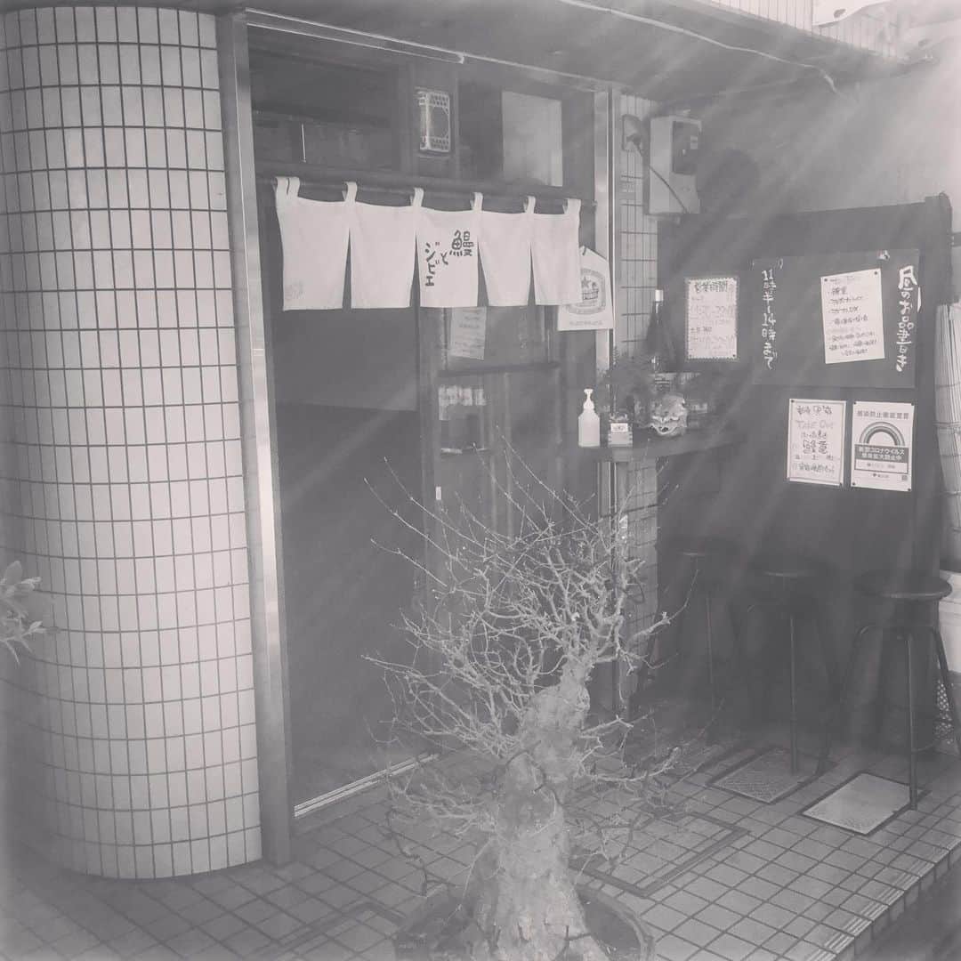 新宿寅箱さんのインスタグラム写真 - (新宿寅箱Instagram)「快晴です モノクロで雰囲気ある風に撮りましたが上手くいきません ランチは美味いんで来てください  #寅箱 #新宿 #ジビエ #新宿ランチ」12月8日 11時21分 - torabako519