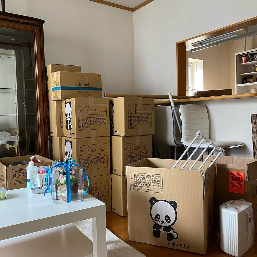キャシー・リードのインスタグラム：「京都に引っ越す🐼 Moving to Kyoto❤️」