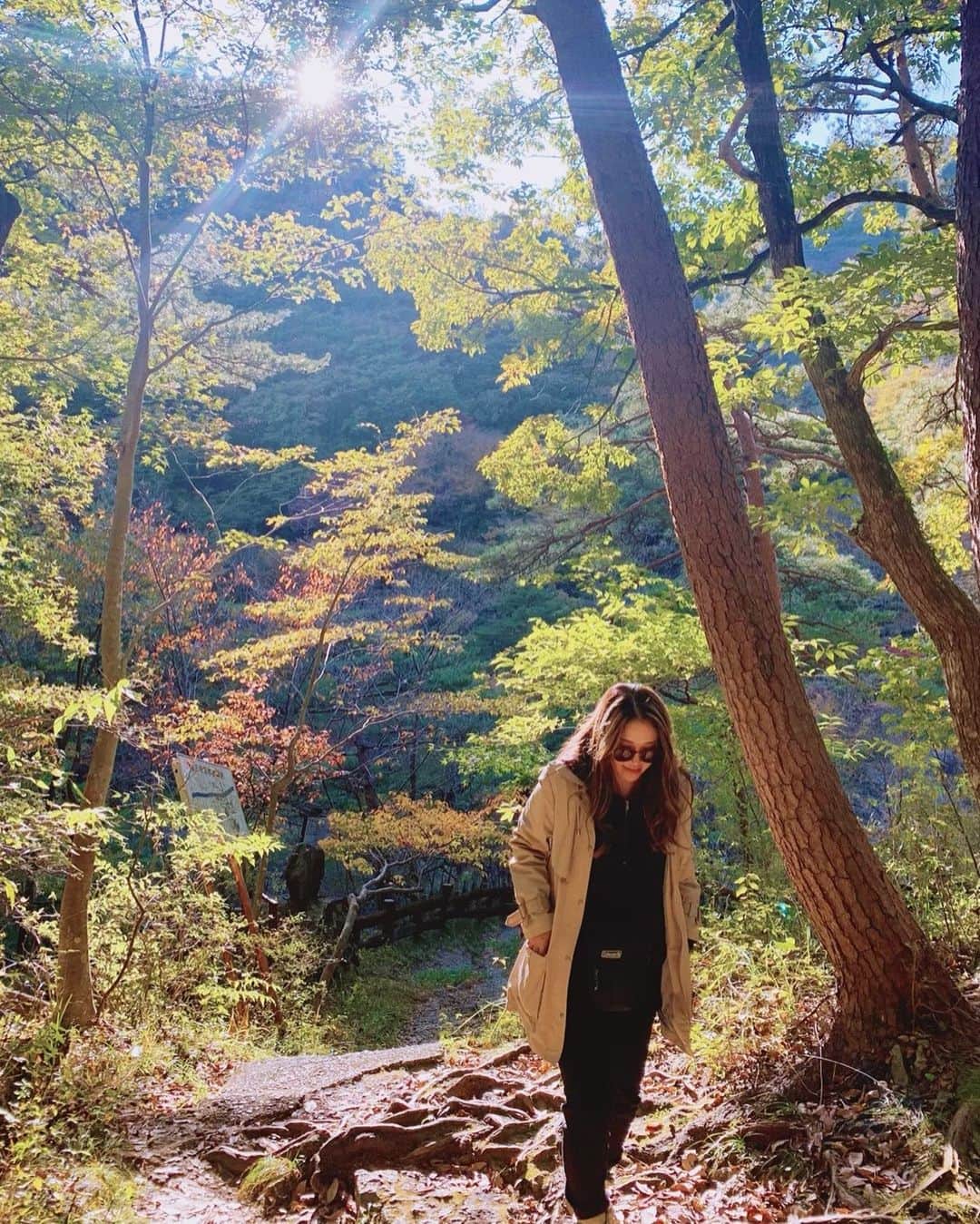奥家沙枝子のインスタグラム：「今、都内の紅葉がとてもいい感じ🍁 早起きして仕事前に散歩するのが楽しい🥰 . . #日光#紅葉#日帰り#旅行#goto#週末#散歩#もみじ#山歩き　#trip #mountain #nature #dayoff #daytrip #japan #sunny #hiking」