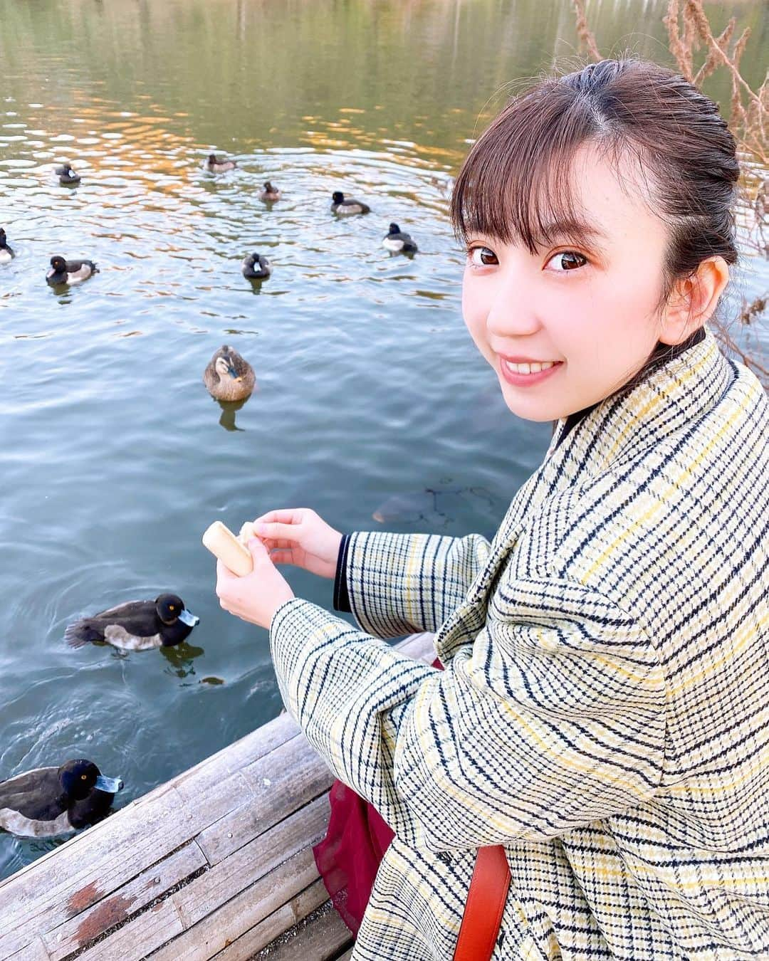 高槻実穂さんのインスタグラム写真 - (高槻実穂Instagram)「🦆餌やり体験したよ🦢 推し見つけたー！！！ 君も食べるー？？？  #三宝園 #鴨 #えさやり #餌やり #餌やり体験 #撮影 #ポートレート撮影 #ポートレート写真 #湖 #portrait #portraitphotography #instagood #instagram #instalike #instafashion #instapost #selfie #selca #selcagram #selcam #かわいい #かわいいものが好き #癒し #癒しの空間 #景色 #followｍe #followforfollowback」12月8日 13時23分 - mihorintakatuki7