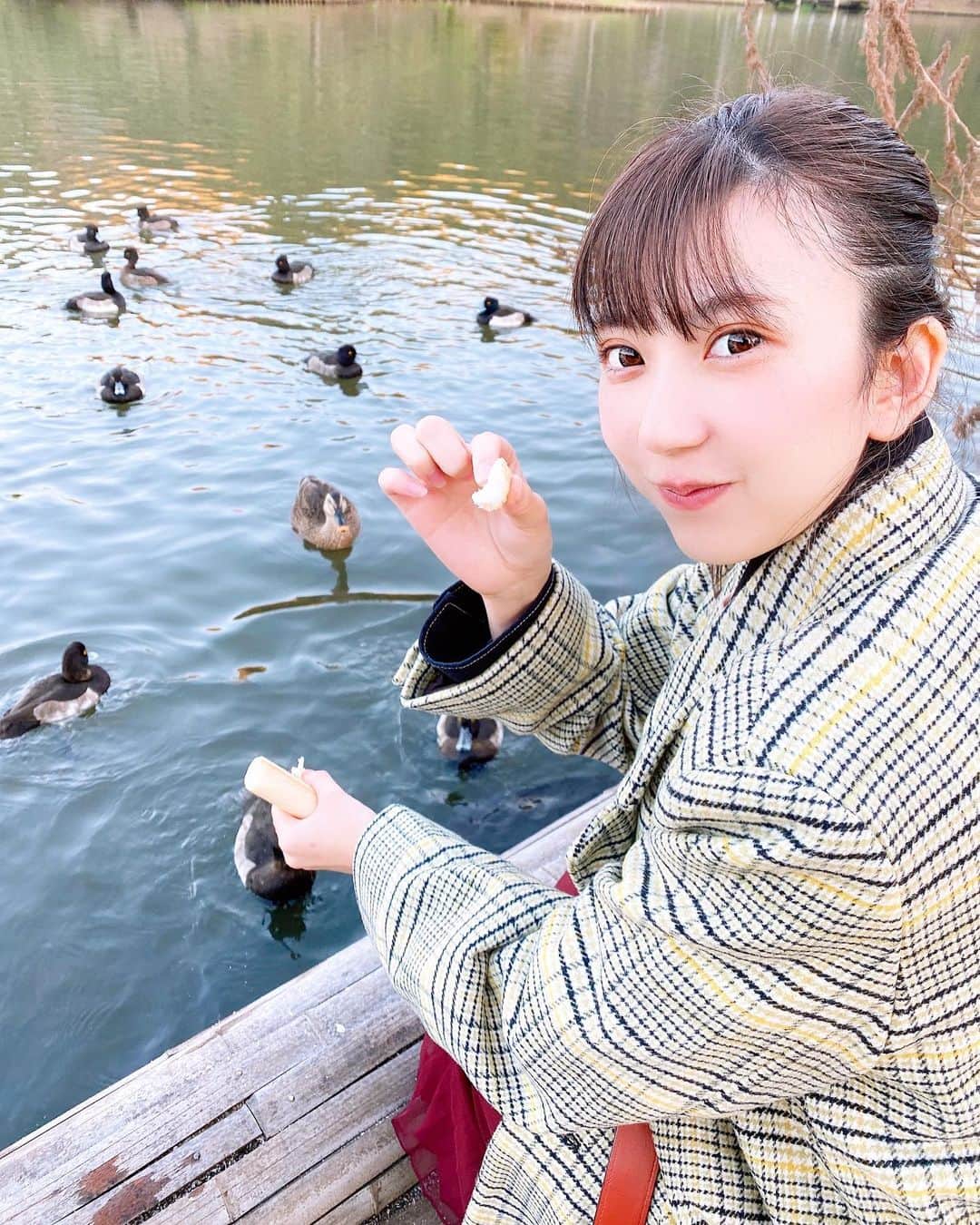 高槻実穂さんのインスタグラム写真 - (高槻実穂Instagram)「🦆餌やり体験したよ🦢 推し見つけたー！！！ 君も食べるー？？？  #三宝園 #鴨 #えさやり #餌やり #餌やり体験 #撮影 #ポートレート撮影 #ポートレート写真 #湖 #portrait #portraitphotography #instagood #instagram #instalike #instafashion #instapost #selfie #selca #selcagram #selcam #かわいい #かわいいものが好き #癒し #癒しの空間 #景色 #followｍe #followforfollowback」12月8日 13時23分 - mihorintakatuki7