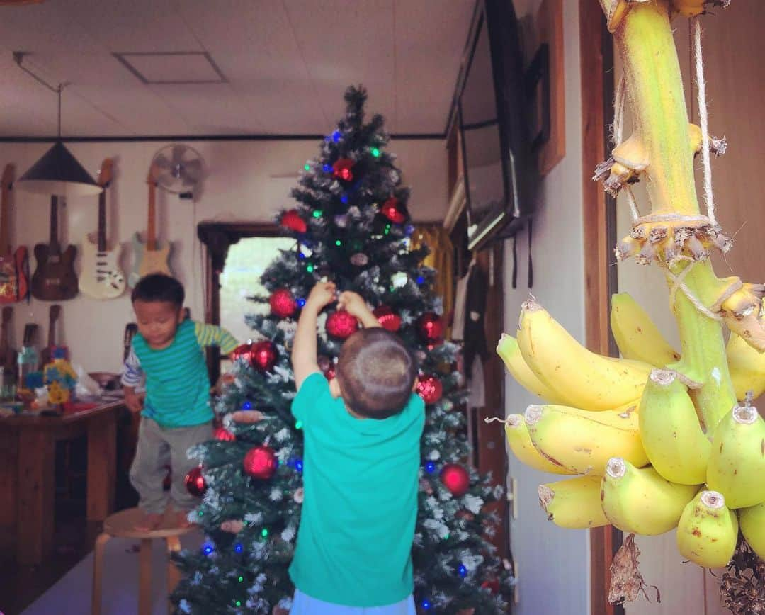 URALiのインスタグラム：「ツリーと島バナナ🎄🍌✨  #加計呂麻島」