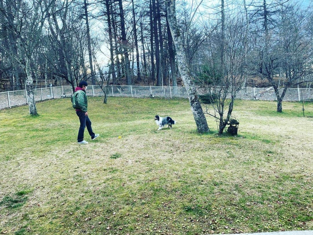 川崎芹奈さんのインスタグラム写真 - (川崎芹奈Instagram)「11/29.30 パパとわんこたちと山中湖のペンションへ🐶  本当はばあちゃんも一緒に温泉地に行く予定だったけど一気にコロナが増えちゃったので予定変更♻️今年はもうしょうがないね(TT)どちらのばあちゃんとも早く会いたいよ〜💧  山中湖はとにかく富士山が綺麗だった。それだけ。それだけだけどそれで充分なくらい富士山が綺麗だった🗻  なんか運良く珍しい笠富士みたいなのも見れて富士山の上に別世界が広がってるようで素敵だった✨  いつも人で溢れてる所で生活してるから、人通りも少なくてゆったり時間が流れていく環境もいいな〜って思ったり😌  それで夜美味しいご飯と共に(写真は朝ごはん)日本酒沢山飲んでたら、ケーキが出てきてびっくり🎂 たくさん祝ってもらったと思うけど、最後にって🎉 パパそういうことするタイプだと思ってなかったからびっくりしたけど嬉しかったな〜♡  　 なんか昔話してたらいい話も聞けていい時間だった😆(語彙力)  最近頻繁に会ってたらわんこたちが懐いてきたから、早く会いたいな〜って気持ち🥰  そんな感じで宣言通り行きは起きてたけど帰りの車はずっと寝てた小旅行でした🚚 パパありがとう😆  #旅行　#山中湖　#富士山 #静岡　？　#山梨　？ #シェットランドシープドッグ #笠富士　#誕生日ケーキ」12月8日 13時35分 - serina_yss