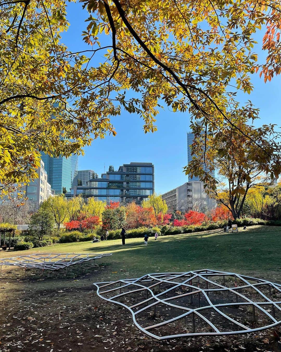 シャウラさんのインスタグラム写真 - (シャウラInstagram)「公園の紅葉が綺麗すぎる。フィルター無しでこの色。✨❤️✨秋、あきない。。。🤣 The colors in the park were beautiful today. Can you believe this is no filter?!  #nature #japan #紅葉」12月8日 13時44分 - shaula_vogue