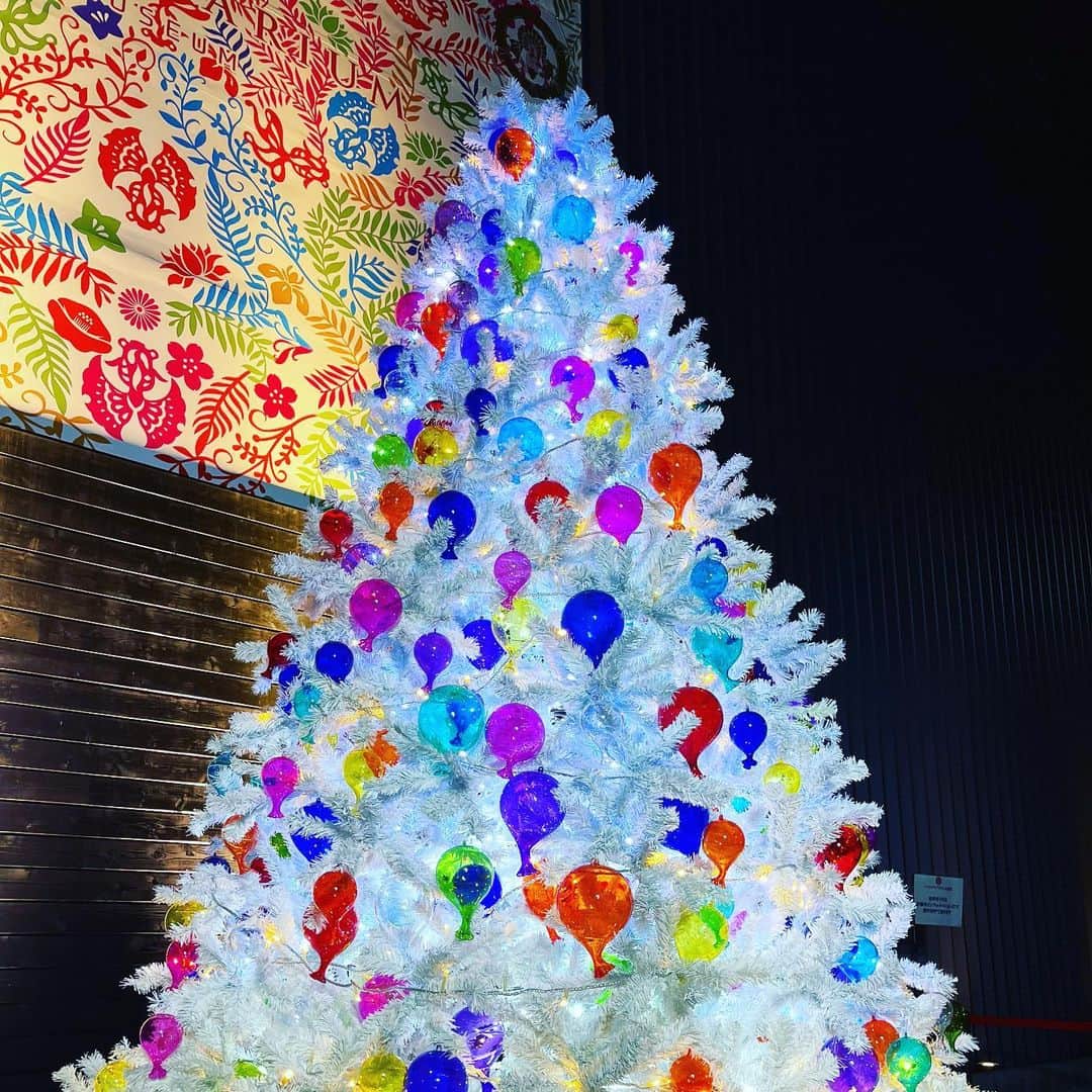 岩間恵のインスタグラム：「クリスマスシーズン限定の イベントがあるとのことで、またまたアートアクアリウム美術館へ行ってきました✨  (前回私が友達と行った時、 行ってみたい！と言っていた夫😂)  チケットにドリンク2本ついていて コロナ対策ばっちりの中、お酒を楽しみながら美術館をまわることができました💕  可愛いシーズン限定のお食事、デザートも食べて幸せ🤤 クリスマスデートにおすすめです😉❤️  (特別な許可を頂いてマスク外しています🙇‍♀️)  #アートアクアリウム美術館 #アートアクアリウム #artaquariummuseum #artaquarium #アートアクアリウムでクリスマス #イルミネーションデート #クリスマス」