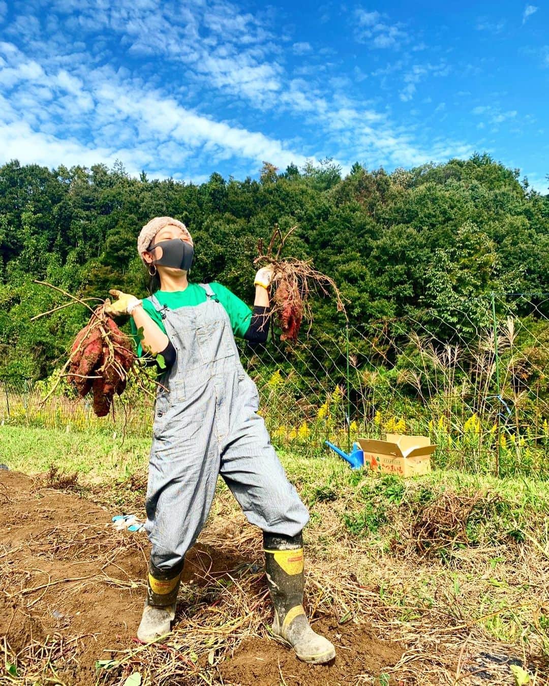 北山まいかのインスタグラム：「立派なサツマイモ🍠 芋掘りめっちゃ楽しかった🥰」