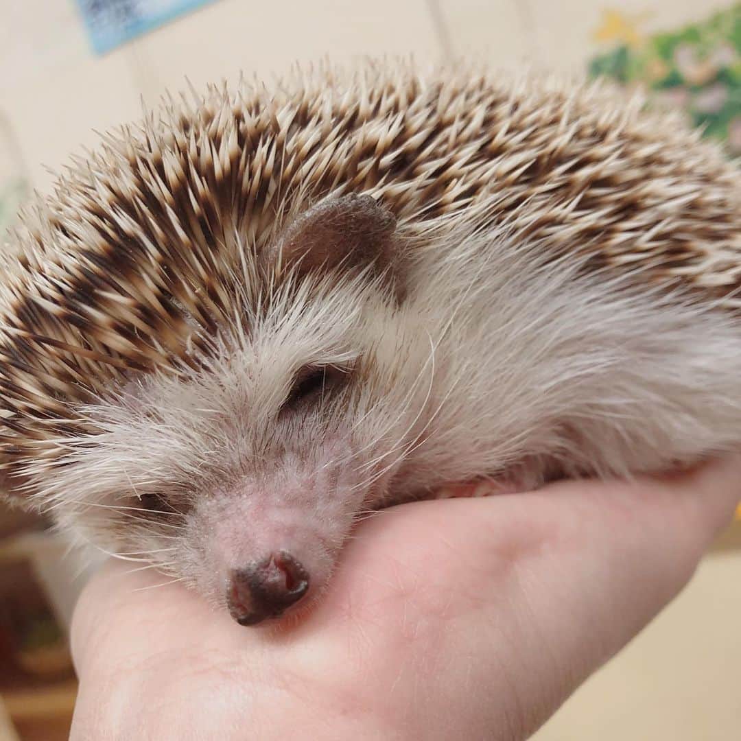 藤乃あおいのグルメインスタ